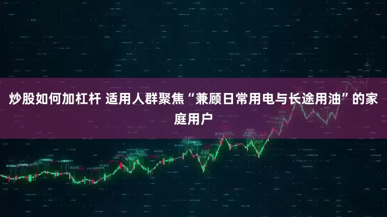 炒股如何加杠杆 适用人群聚焦“兼顾日常用电与长途用油”的家庭用户