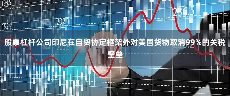 股票杠杆公司印尼在自贸协定框架外对美国货物取消99%的关税壁垒